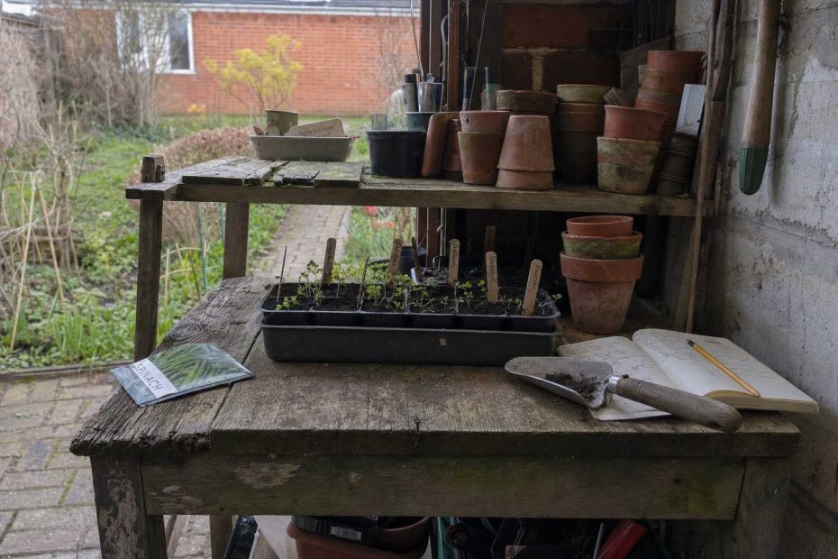 seed trays, labels, a trowel and a notebook on a potting bench