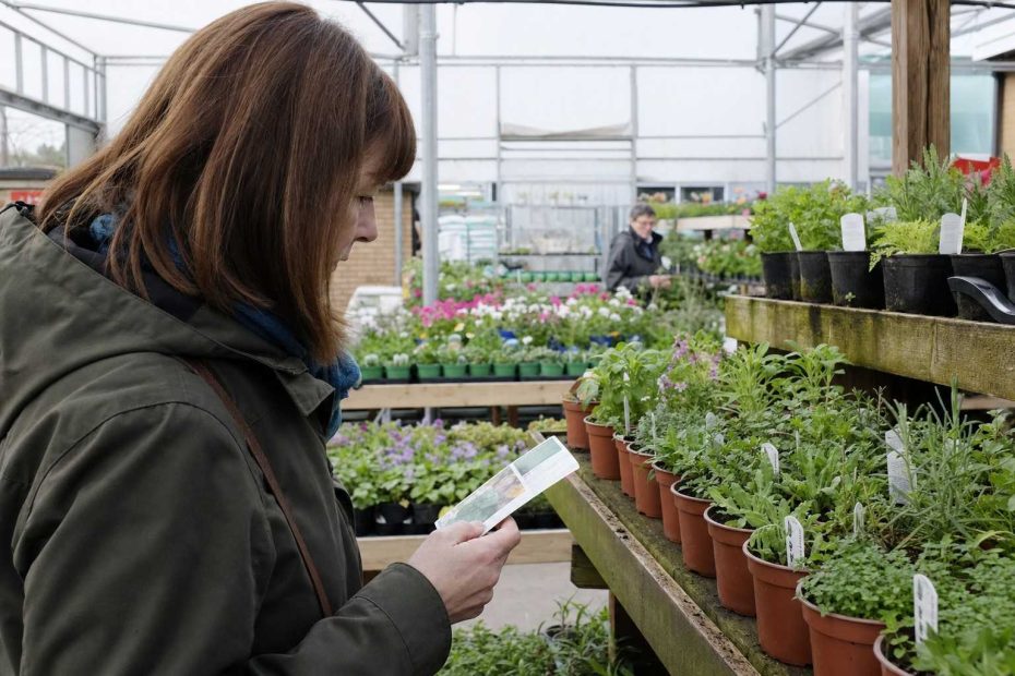 a person choosing potted plants and reading a label at a garden centre