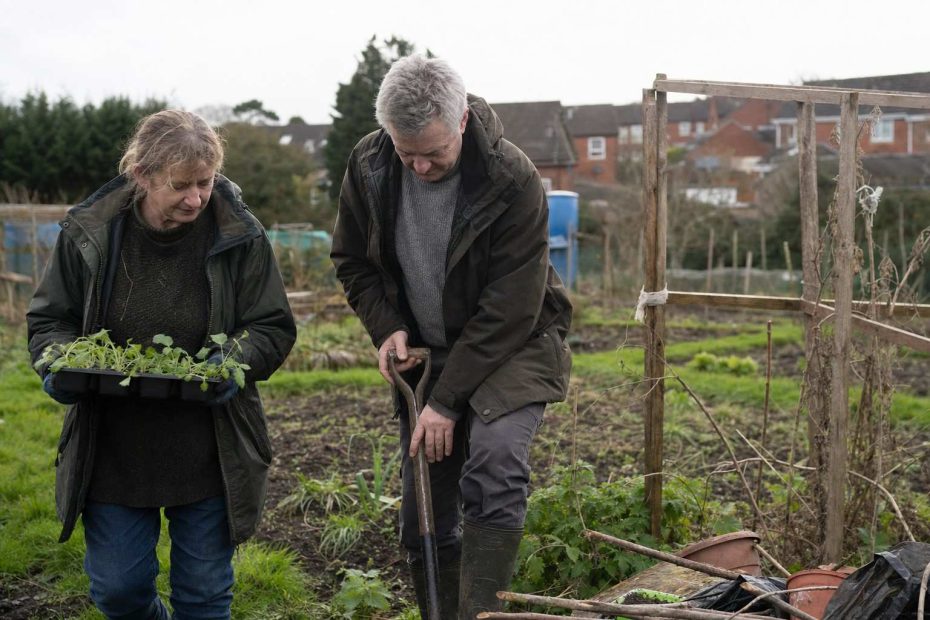 two people in jumpers working a slightly messy allotment on a cool day