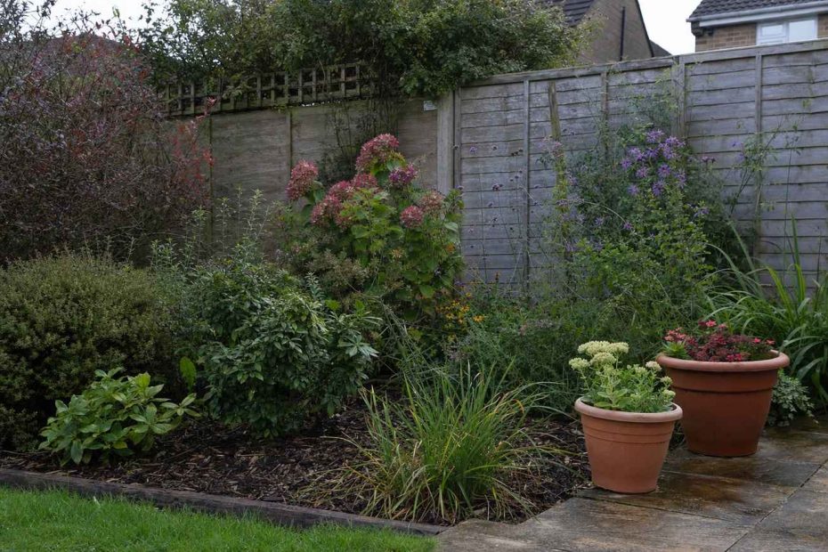 a relaxed low-maintenance garden border of established perennials and mulch