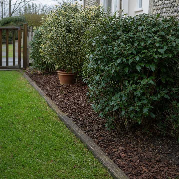 a bark-mulched border suppressing weeds around shrubs